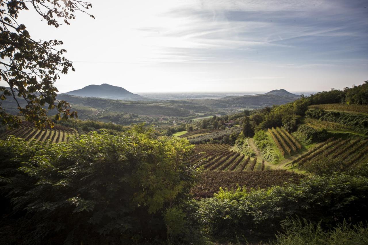 Agriturismo Le Volpi Baone Εξωτερικό φωτογραφία